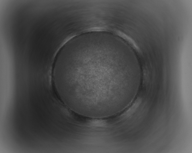 X0000100941170200806241421