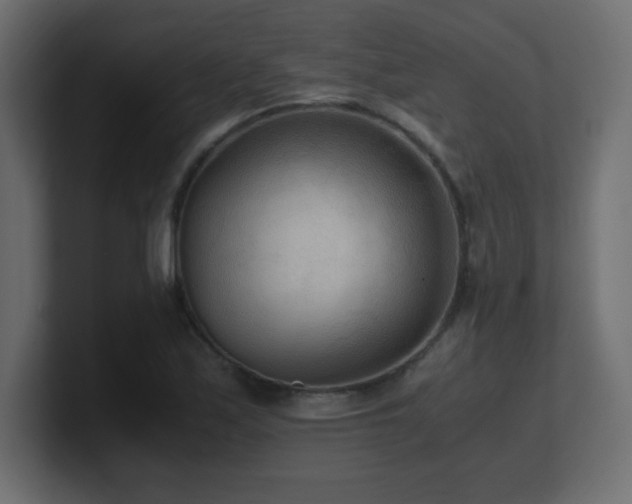 X0000100941171200806241421