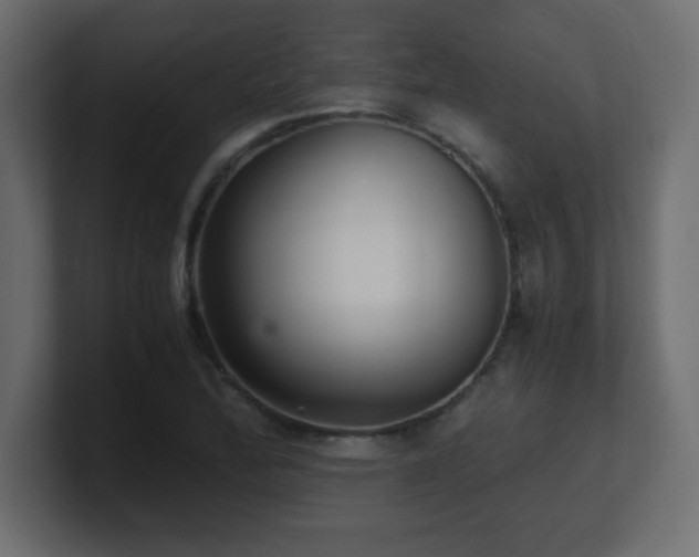 X0000100941172200806241421