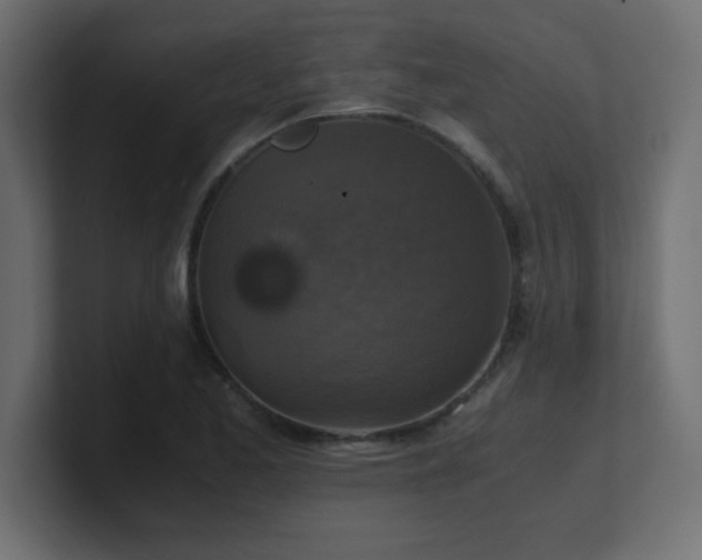 X0000100941173200806241421