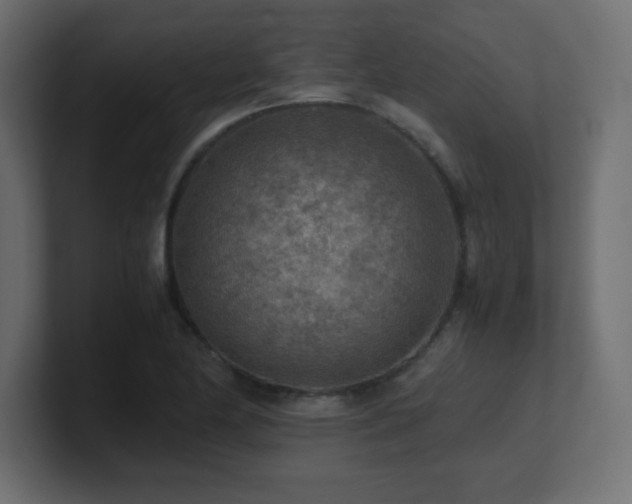 X0000100941174200806241421