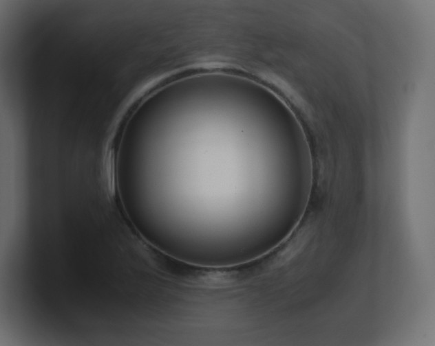 X0000100941175200806241421