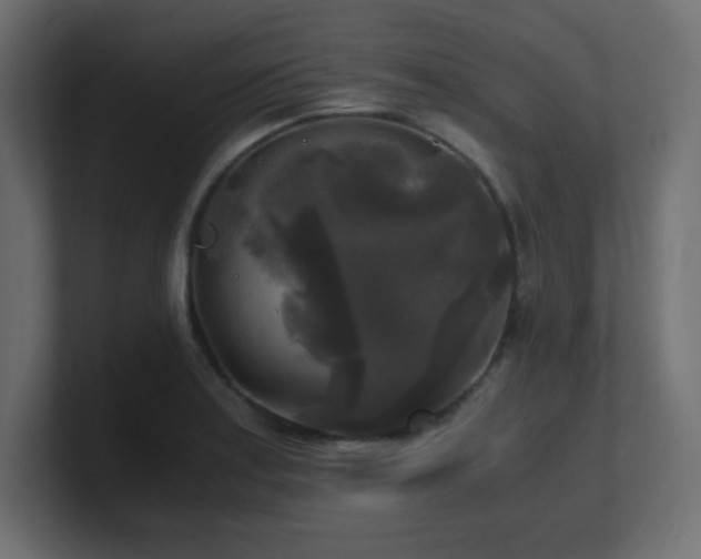 X0000100941179200806241421