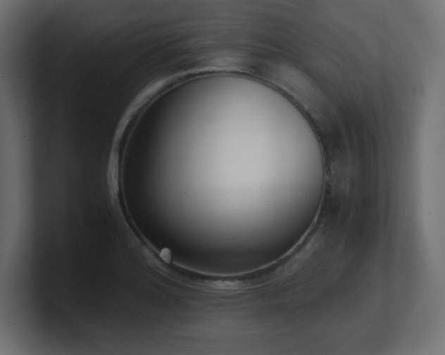 X0000100941180200806241421
