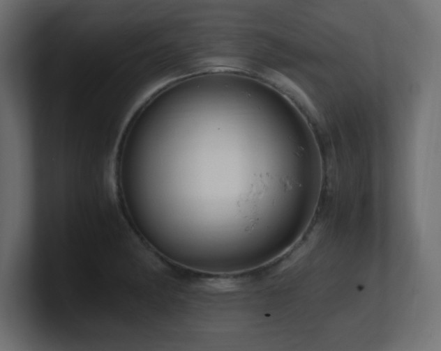 X0000100941182200806241420
