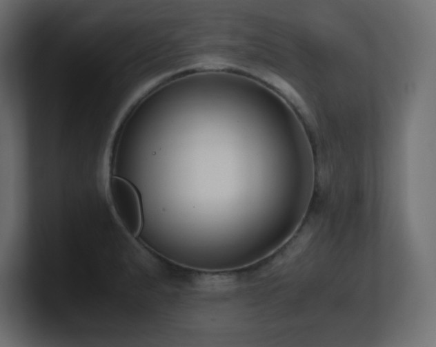 X0000100941183200806241420
