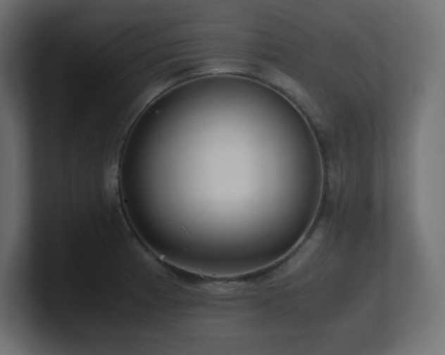 X0000100941185200806241420