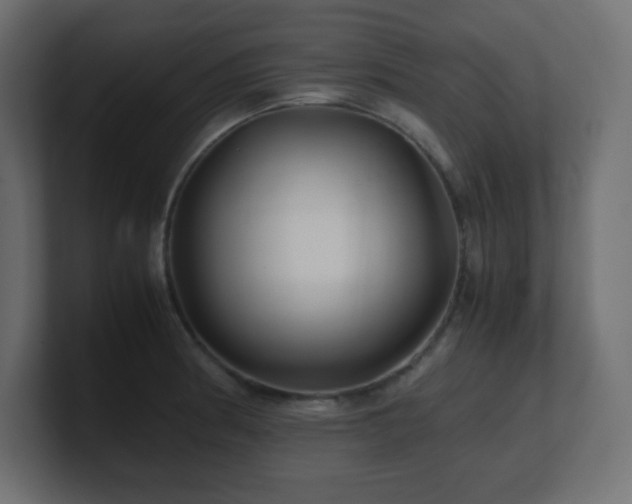 X0000100941186200806241420