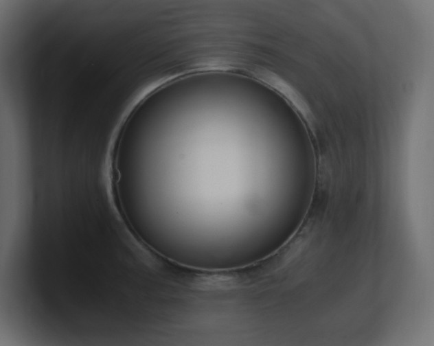 X0000100941187200806241420