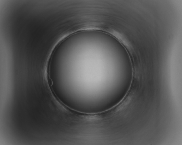 X0000100941189200806241420