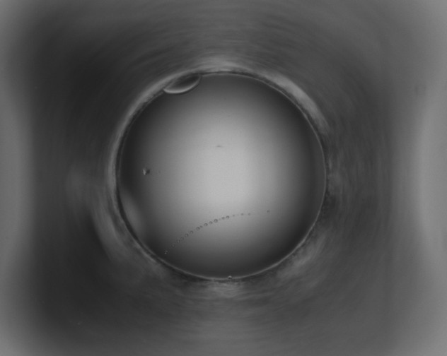 X0000100941191200806241420