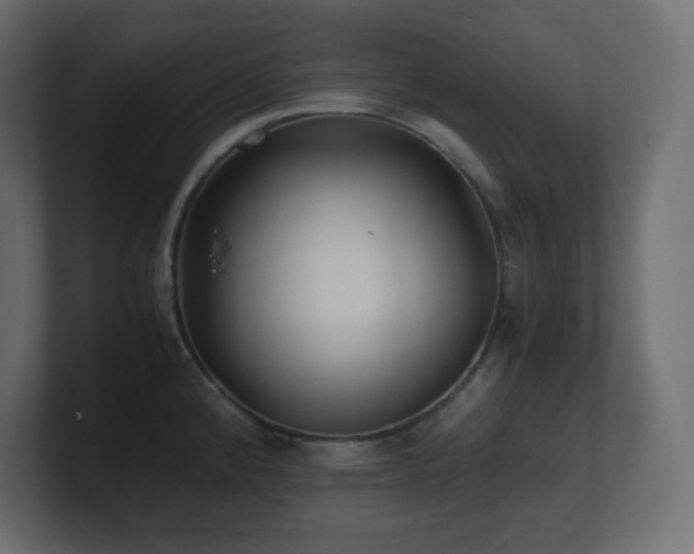X0000100941192200806241420