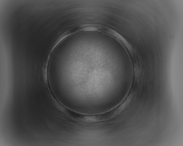 X0000100941194200806241420