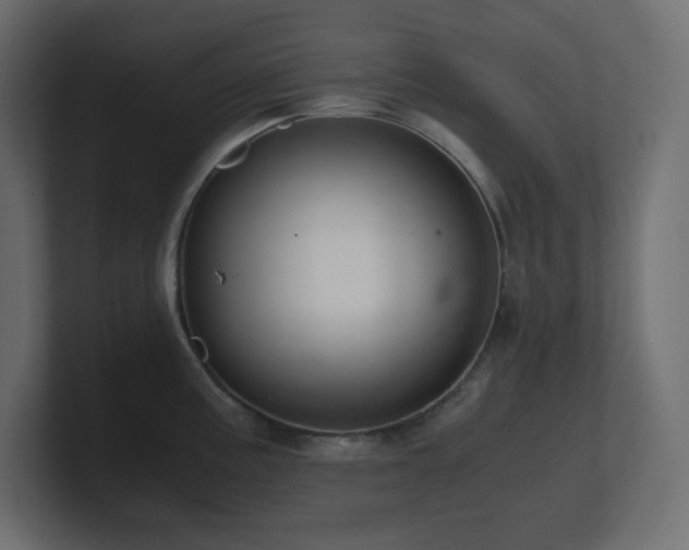 X0000100941195200806241420