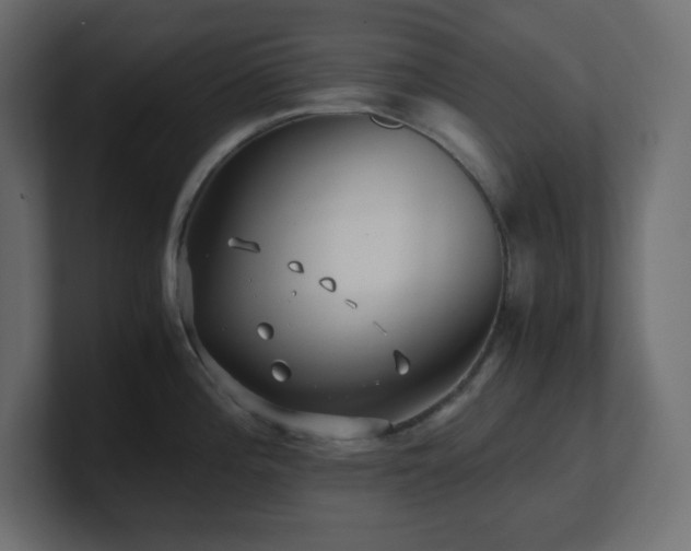 X0000100941196200806241420