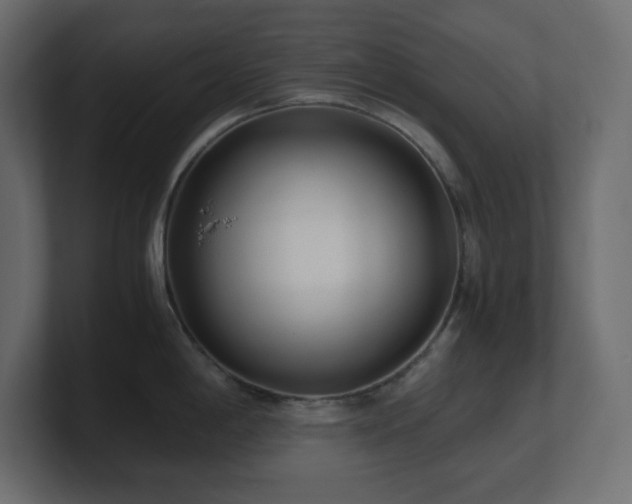 X0000100941198200806241420