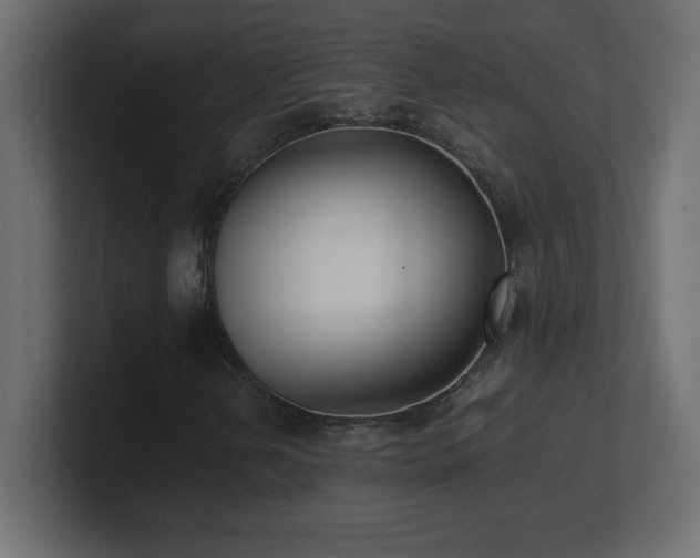 X0000100941202200806241420