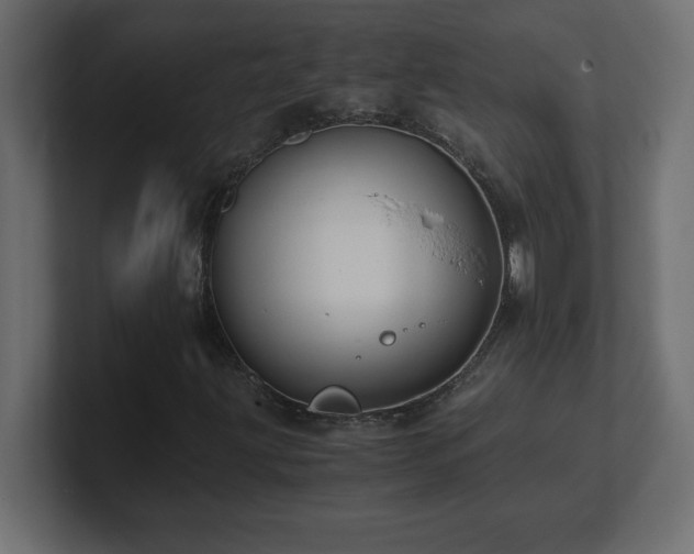 X0000100941203200806241420