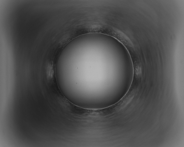 X0000100941204200806241420