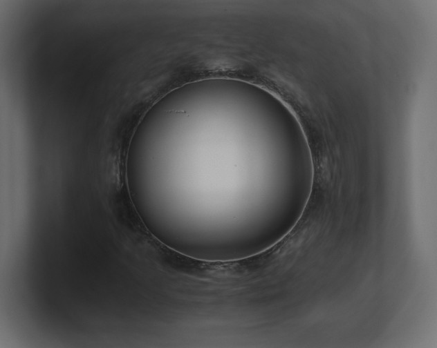 X0000100941205200806241420