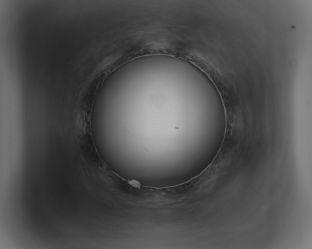 X0000100941207200806241420