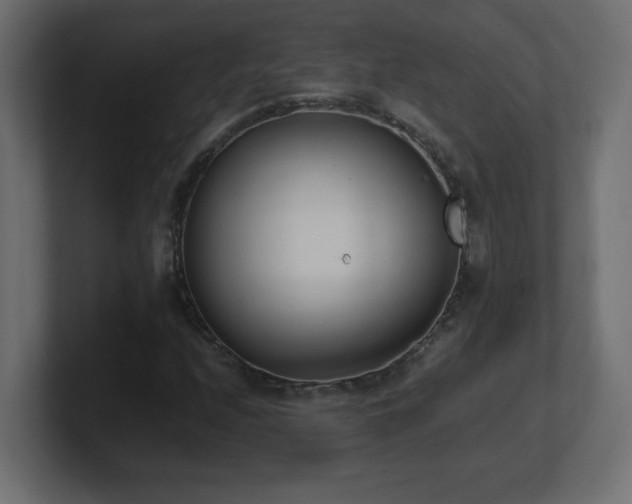 X0000100941208200806241420