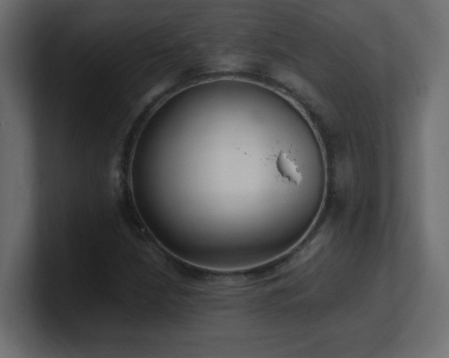 X0000100941210200806241420