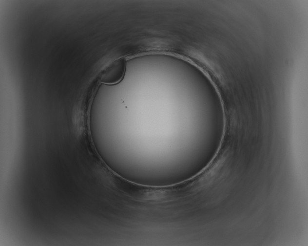 X0000100941211200806241420