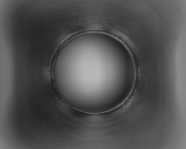 X0000100941212200806241420
