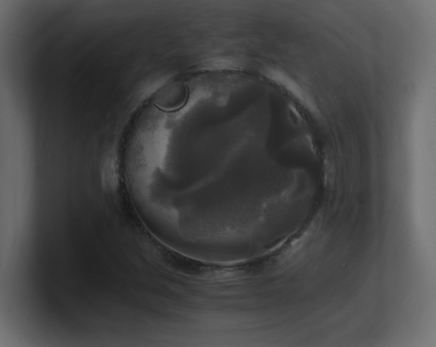 X0000100941213200806241420