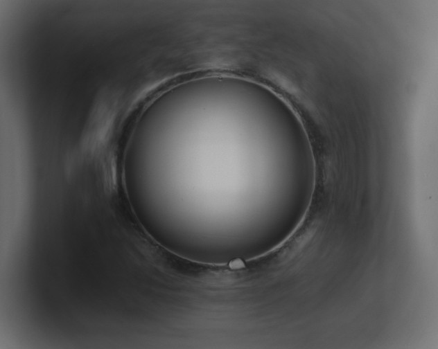 X0000100941214200806241420