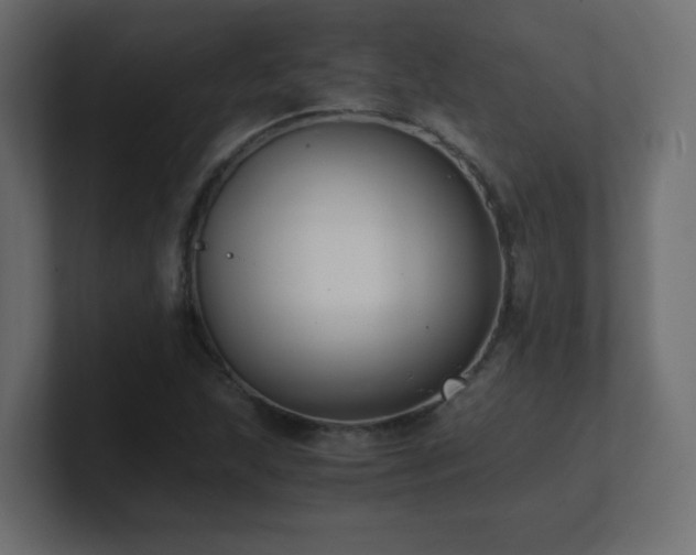 X0000100941215200806241420