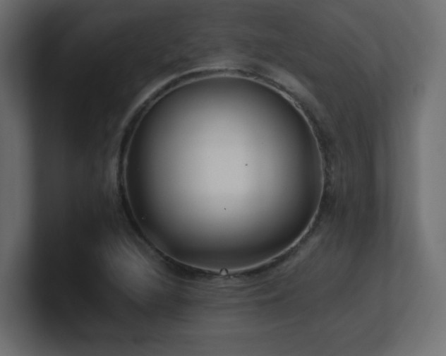 X0000100941216200806241420