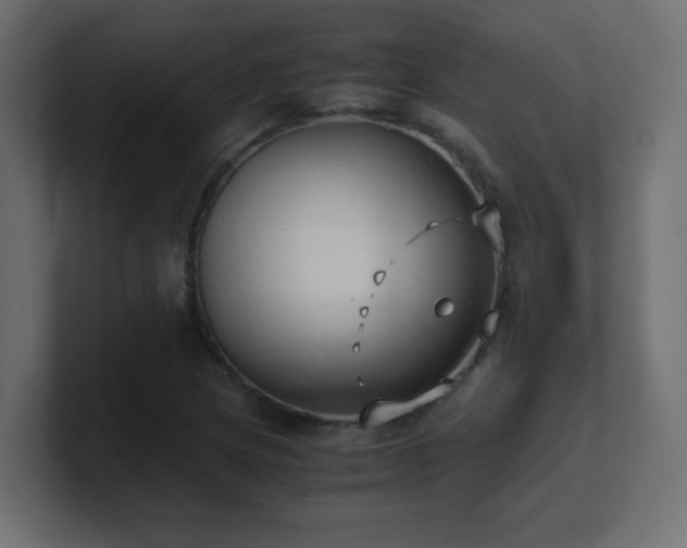 X0000100941217200806241420