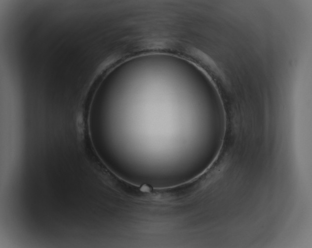 X0000100941218200806241420