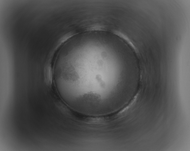 X0000100941219200806241420