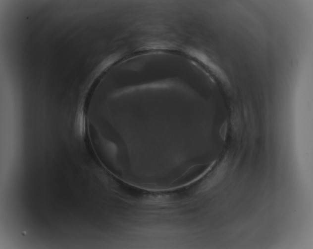 X0000100941221200806241420