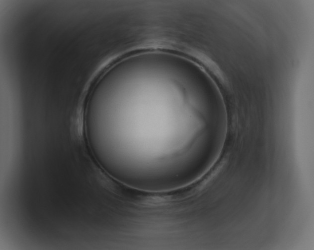 X0000100941224200806241420