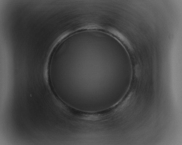 X0000100941229200806241420