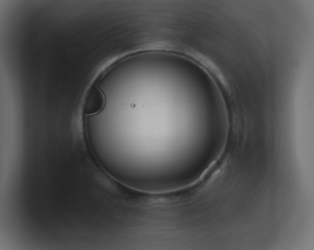 X0000100941230200806241420