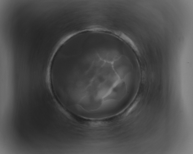 X0000100941231200806241420
