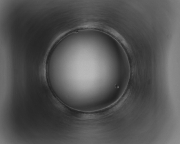 X0000100941232200806241420