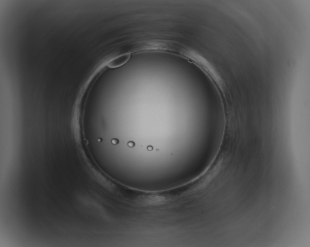 X0000100941235200806241420