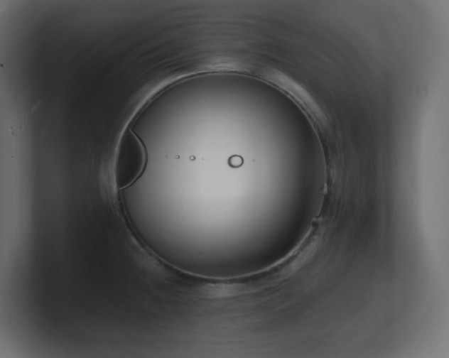 X0000100941236200806241420