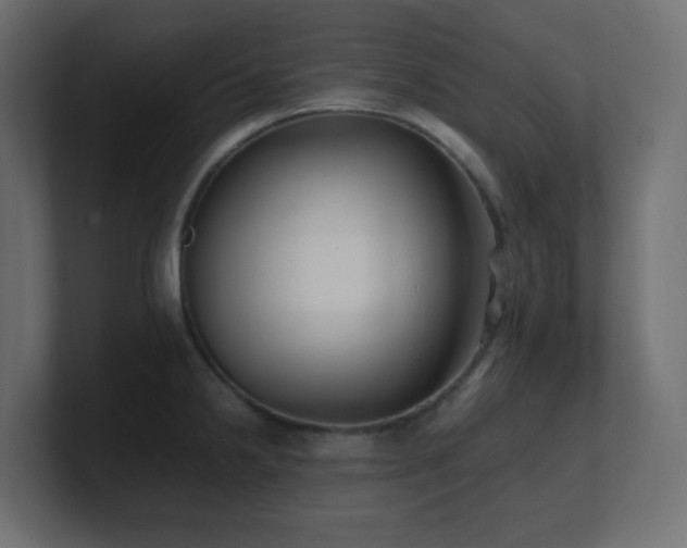 X0000100941238200806241420