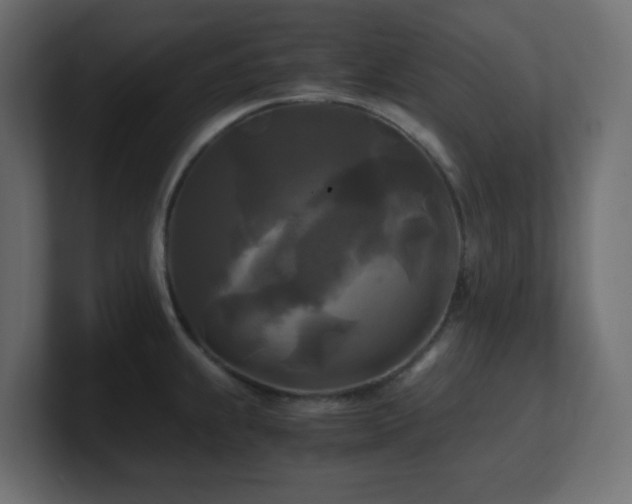 X0000100941239200806241420