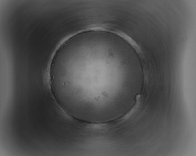 X0000100941240200806241420