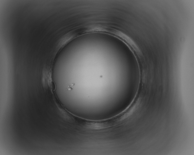 X0000100941241200806241420