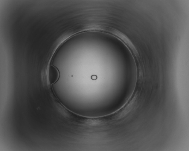X0000100941242200806241420