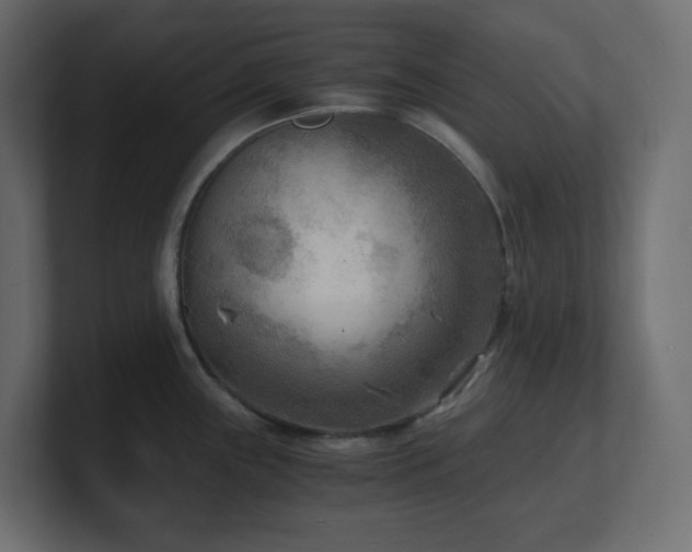X0000100941243200806241420